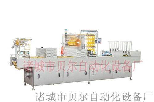 全自動拉伸膜食品包裝機(jī)械 真空包裝機(jī) 山東廠家直銷